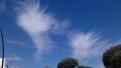 Cirrus fibratus 2